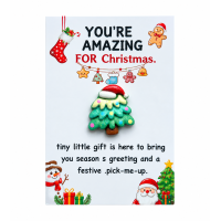 Pocket hug You're amazing for christmas 