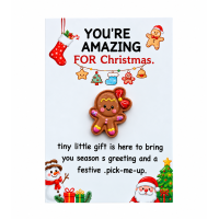 Pocket hug You're amazing for christmas 