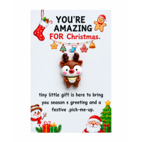 Pocket hug You're amazing for christmas 