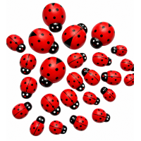 Plakkers Lieveheersbeestje Groot 5 stuks