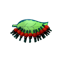 Knijpers Lieveheersbeestje in 7 kleuren