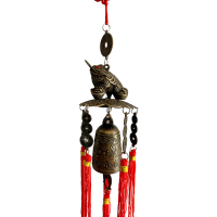 Gelukshanger Kikker met Geluksmunten