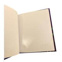 Spongebob Poezie album