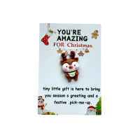 Pocket hug You're amazing for christmas 