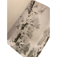 Foto kleurboek Bloemen 