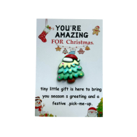 Pocket hug You're amazing for christmas 