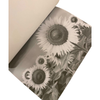 Foto kleurboek Bloemen 