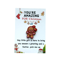 Pocket hug You're amazing for christmas 