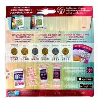 Charmazing Geluks collectie 6 bedeltjes en energiekaarten