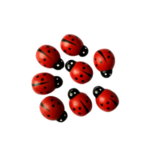 Plakkers Lieveheersbeestje 10 stuks Plakkers Lieveheersbeestje 10 stuks