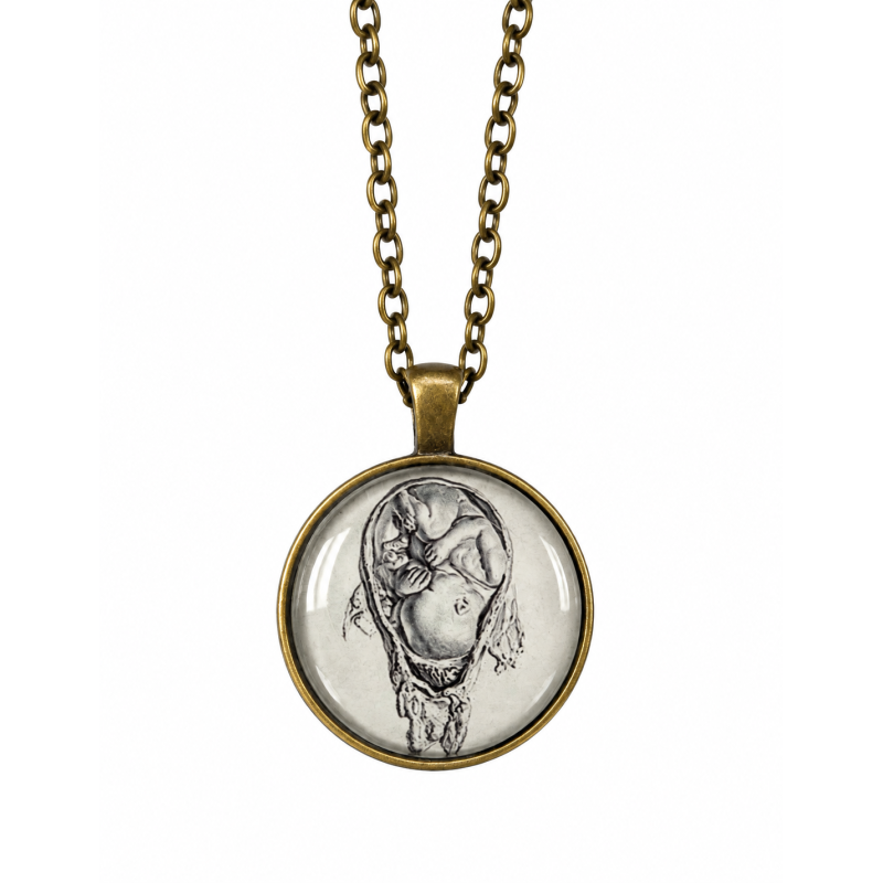 Ketting Zwangerschap Foetus