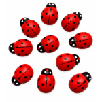 Plakkers Lieveheersbeestje middel 10 stuks