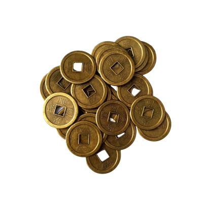 Geluksmuntjes 10 stuks