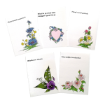 5 kleine kaartjes met diverse boodschappen