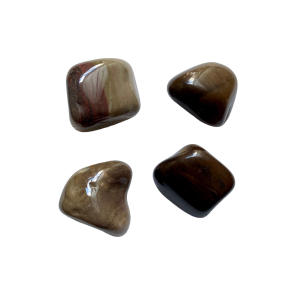 Versteend Hout Knuffelsteen Versteend Hout Knuffelsteen
