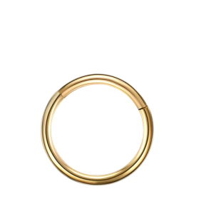 Piercing Ring Goudkleurig 