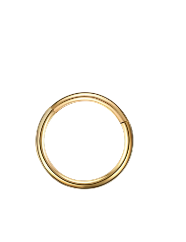 Piercing Ring Goudkleurig 