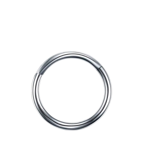 Piercing Ring Zilverkleurig Neusring Piercing Ring Zilverkleurig Neusring