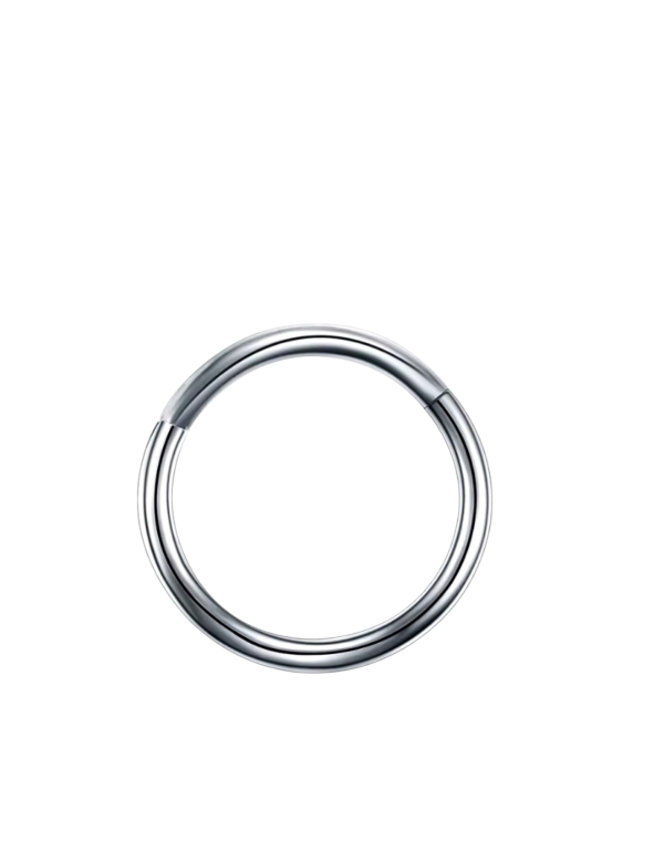 Piercing Ring Zilverkleurig Neusring