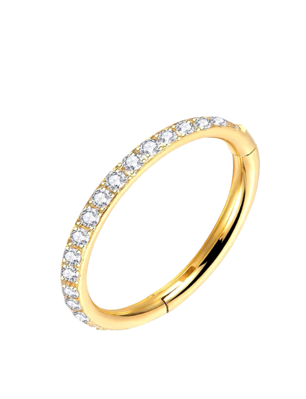 Piercing Ring Goudkleurig met steentjes
