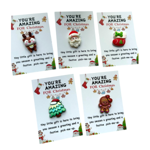 Pocket hug You're amazing for christmas 