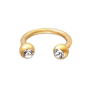 Hoefijzer Piercing Goudkleurig Steentje 10x1.2 Hoefijzer Piercing Goudkleurig Steentje 10x1.2