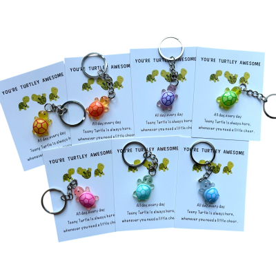 Pocket Hug met sleutelhanger Schildpad