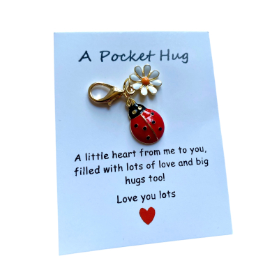 A pocket hug Sleutelhanger "Lieveheersbeestje"