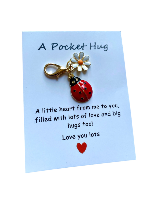A pocket hug Sleutelhanger "Lieveheersbeestje" A pocket hug Sleutelhanger "Lieveheersbeestje"