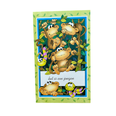 Geboortekaart Het is een jongen