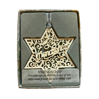 H&&H Inspirerende woorden hanger, Vriendschap, Ster