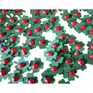 Plakkers Klavertje vier met Lieveheersbeestje 10 stuks